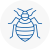 Bed Bug Extermination In Thornbury