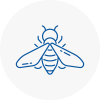 Bee Nest Removal Thornbury