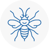 Thornbury Hornet Nest Removals