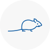Mice Exterminators In Thornbury