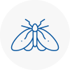 Moth Control Specialists In Thornbury