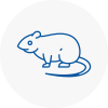 Rat Control Thornbury