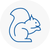 Thornbury Rodent Removals