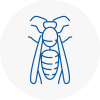 Thornbury Wasp Nest Removal